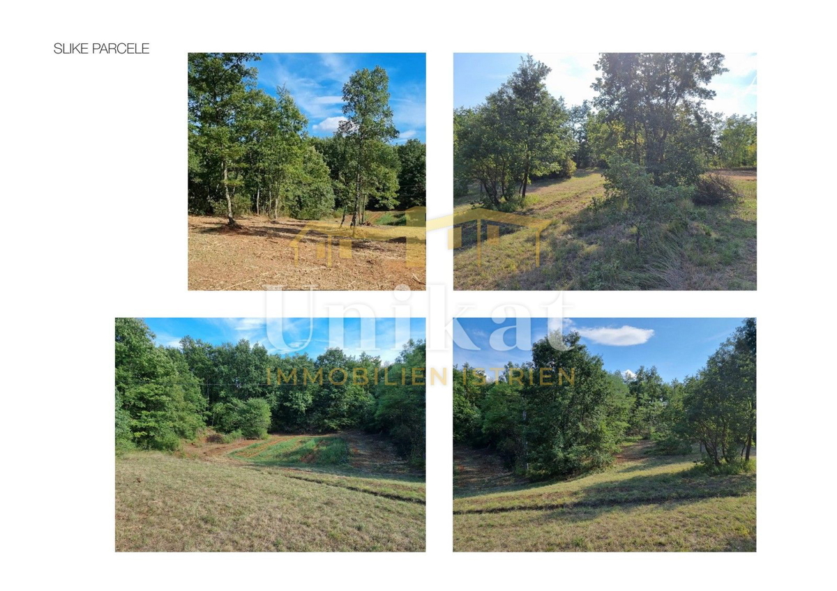 Vila s bazenom, obdana z naravo